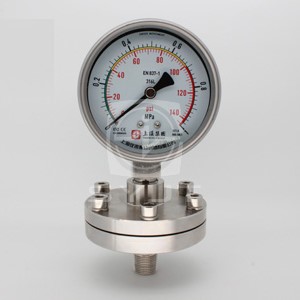 螺紋連接隔膜壓力表