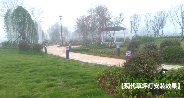 現(xiàn)代草坪燈安裝實(shí)景圖片